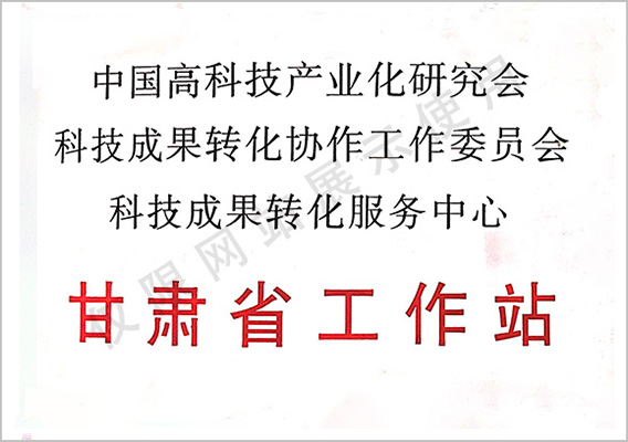 甘肅省工作站－科技成果轉(zhuǎn)化服務中心